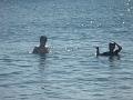 23c - Plage de la Malendure 003